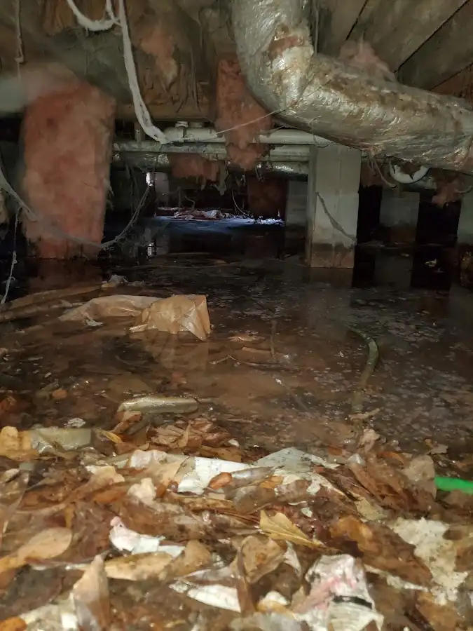 Crawl space flood assessment for Leak Detection & Repair in Beaverton